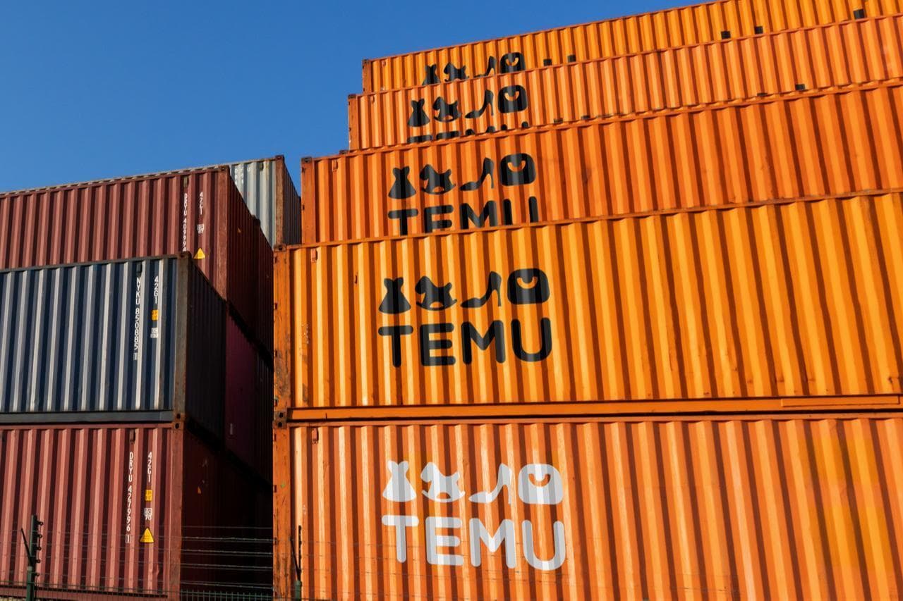 Was passiert nach „arrived at local facility“ bei Temu